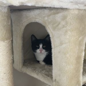 Meet your Posher, Lily